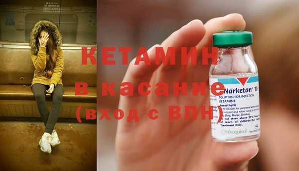 сатива Богданович