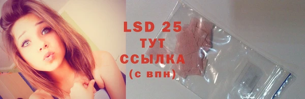 сатива Богданович