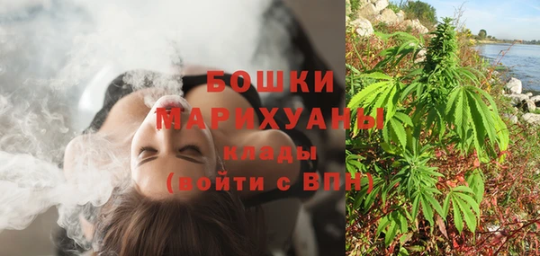 сатива Богданович