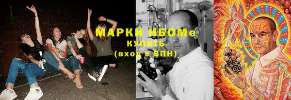 сатива Богданович