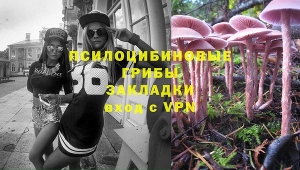 сатива Богданович